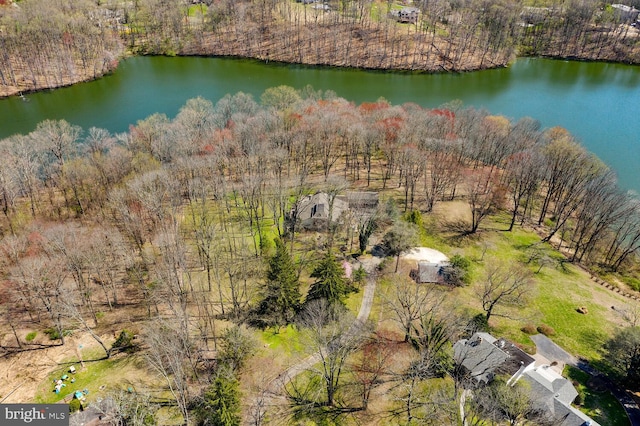 aerial view featuring a water view and a wooded view