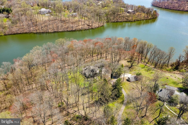 bird's eye view with a water view and a wooded view