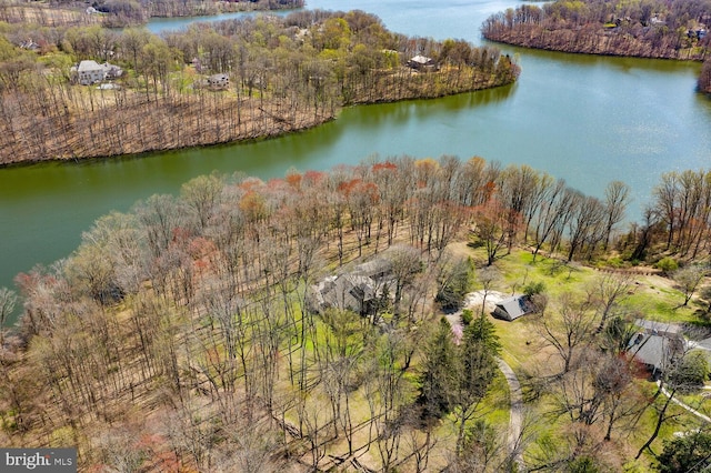 bird's eye view with a water view and a view of trees