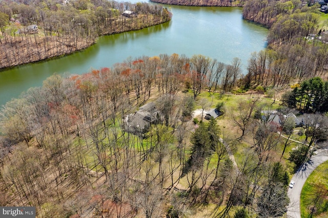 bird's eye view featuring a water view and a view of trees