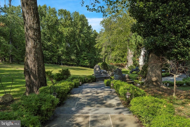 surrounding community featuring a yard