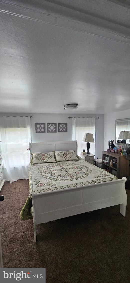 bedroom with multiple windows, carpet floors, and a textured ceiling