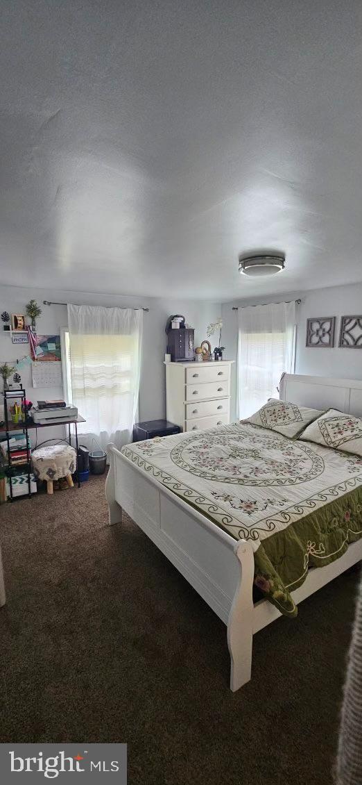 carpeted bedroom with multiple windows and a textured ceiling