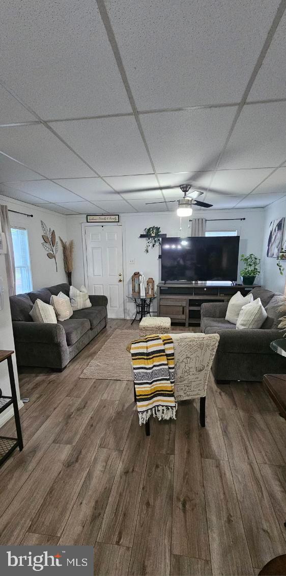 living room featuring wood-type flooring, a drop ceiling, and ceiling fan