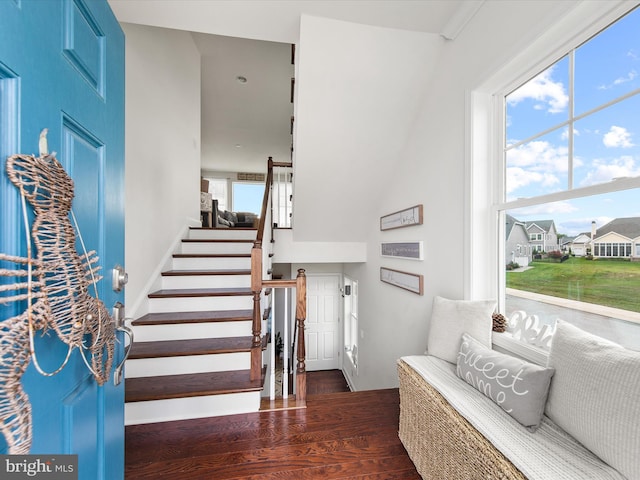 stairs with hardwood / wood-style flooring