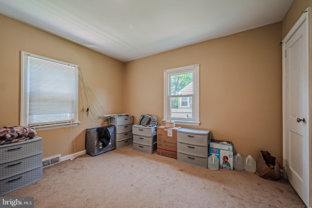 miscellaneous room featuring light colored carpet