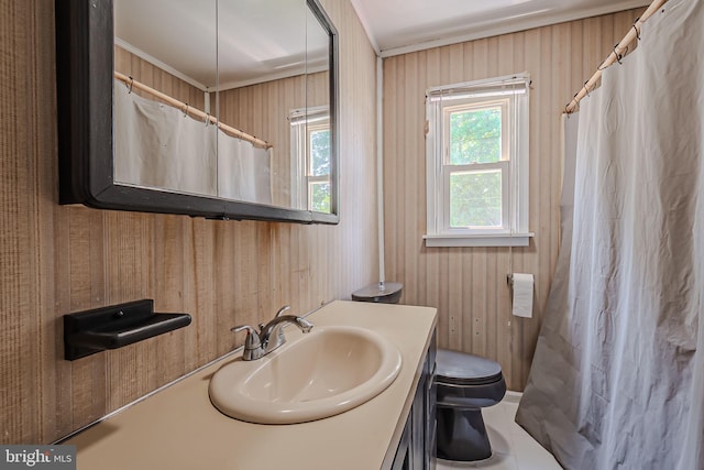 bathroom featuring toilet and vanity