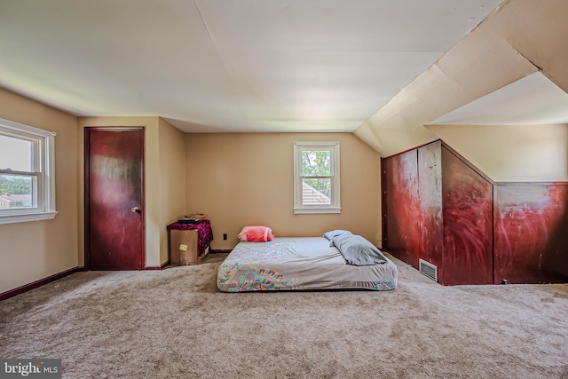 carpeted bedroom with multiple windows and vaulted ceiling