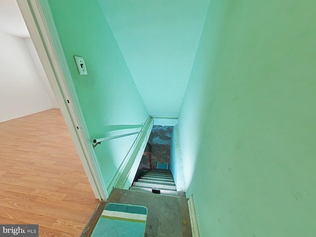 staircase with wood-type flooring