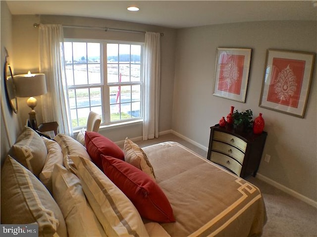 view of carpeted bedroom