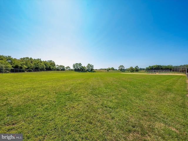 view of yard featuring a rural view