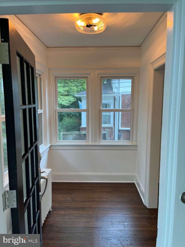 interior space featuring dark hardwood / wood-style flooring and radiator