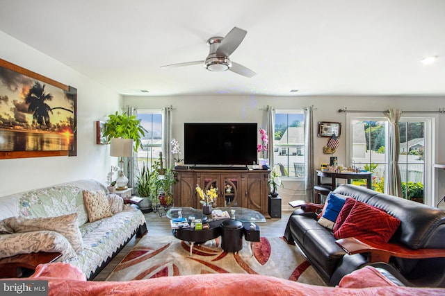 living area featuring plenty of natural light, a ceiling fan, and wood finished floors