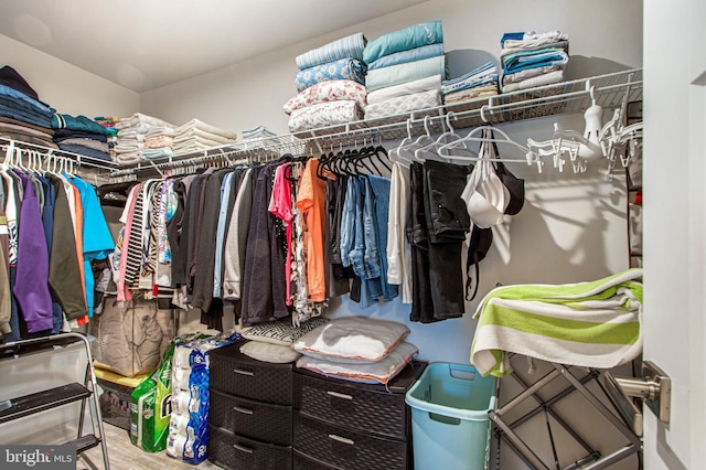 spacious closet featuring wood finished floors