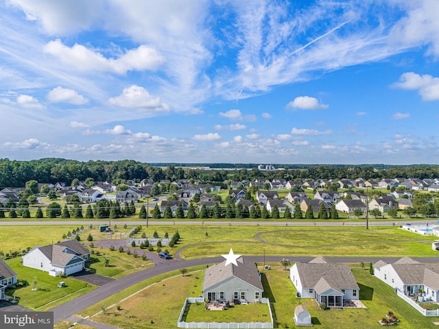 drone / aerial view