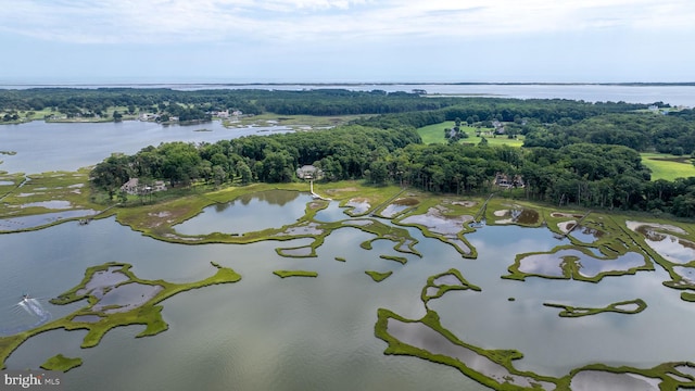 drone / aerial view featuring a forest view and a water view