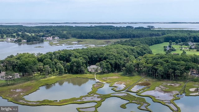 aerial view featuring a water view and a wooded view