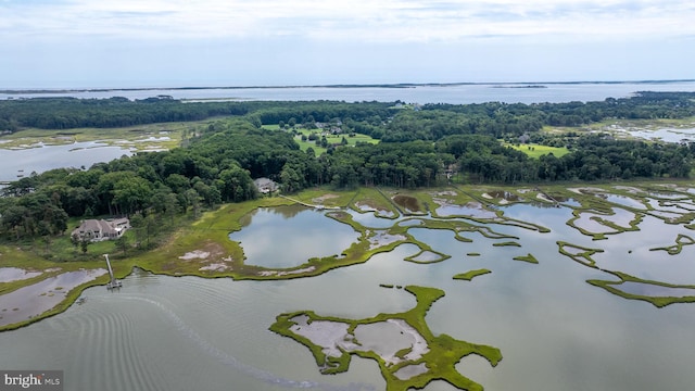 bird's eye view featuring a water view and a forest view