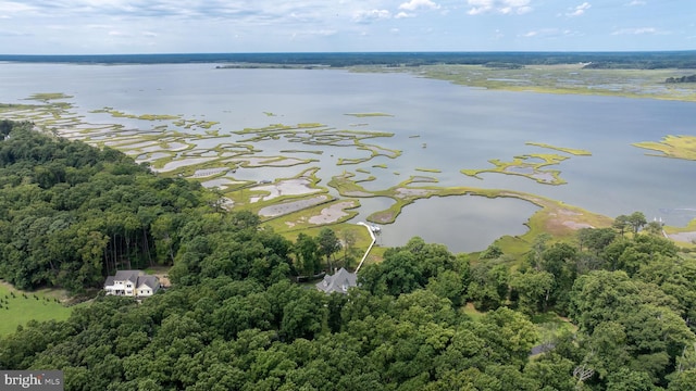 aerial view featuring a water view and a view of trees