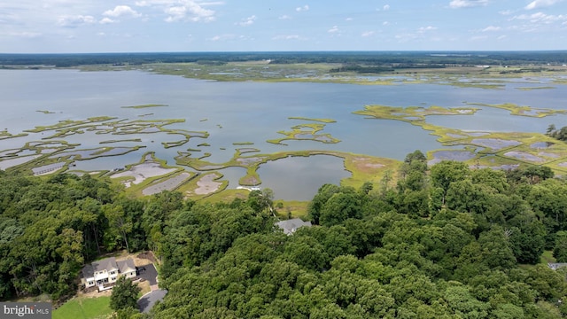 drone / aerial view featuring a water view and a view of trees