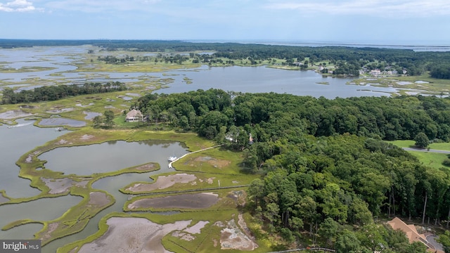 birds eye view of property with a water view and a view of trees