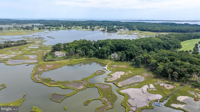 birds eye view of property featuring a water view and a wooded view