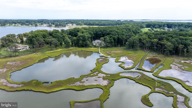 drone / aerial view featuring a water view and a view of trees