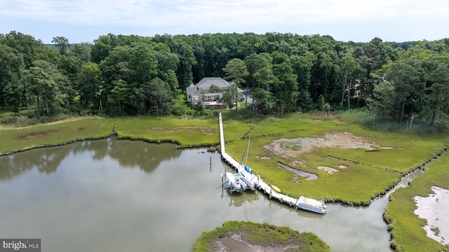 bird's eye view with a water view and a forest view