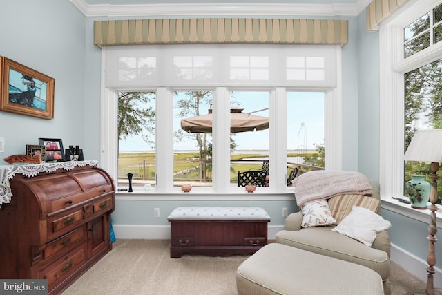 living area featuring ornamental molding, light carpet, and baseboards