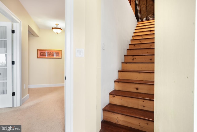 staircase featuring carpet floors and baseboards