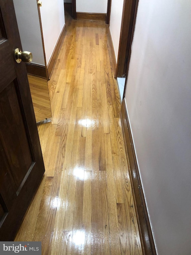 interior space featuring light hardwood / wood-style floors