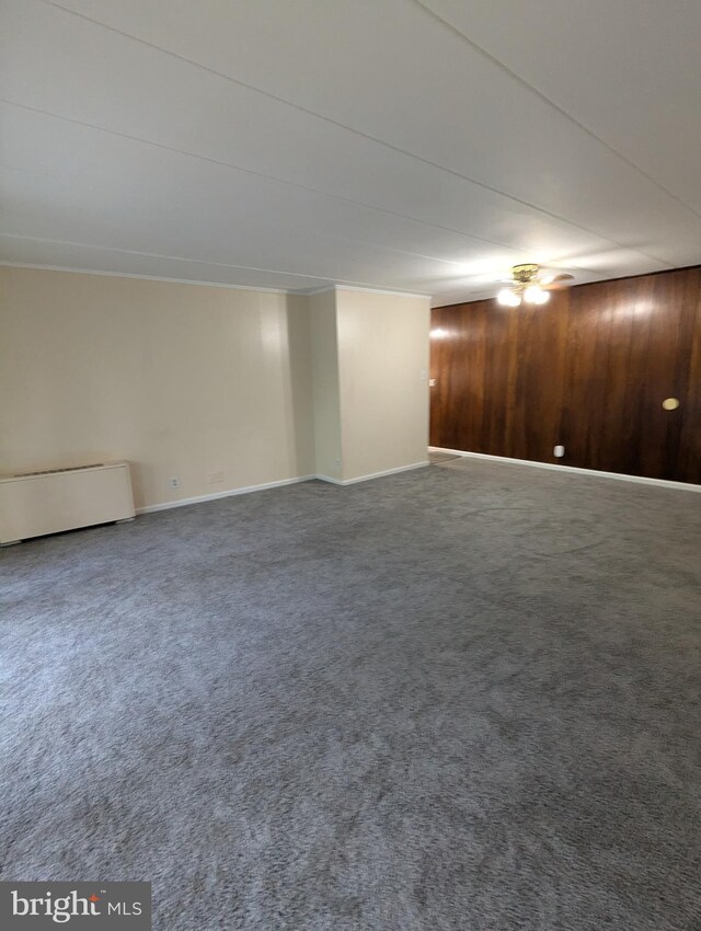 basement featuring carpet floors and wood walls