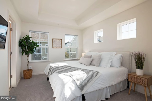 bedroom featuring a tray ceiling and carpet floors