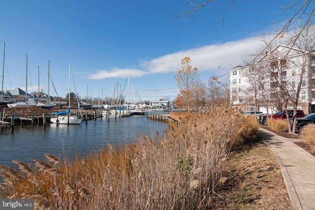 property view of water with a boat dock