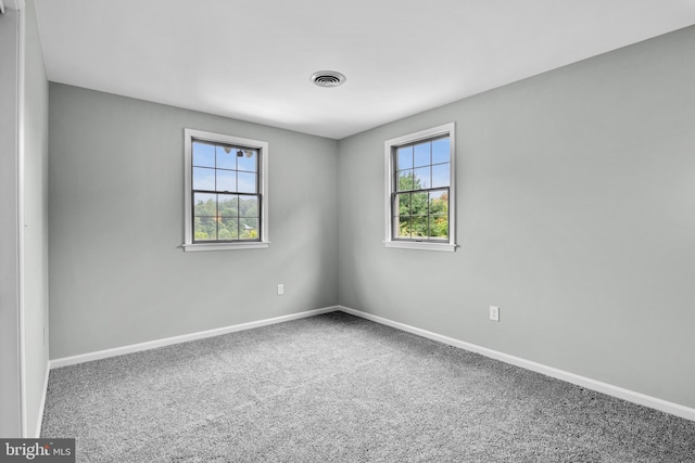 carpeted empty room featuring plenty of natural light