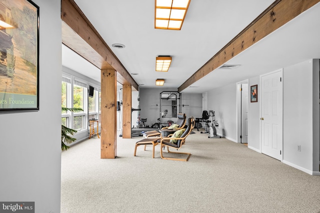 workout area featuring carpet flooring