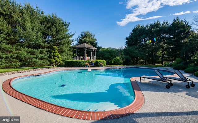 view of pool with a gazebo and a diving board