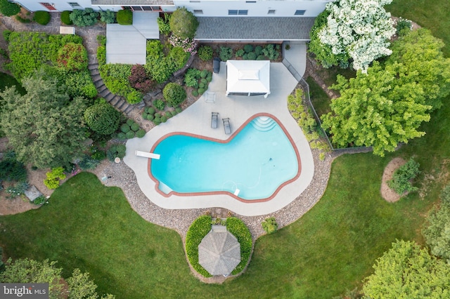 view of swimming pool with a diving board, a patio, and a yard