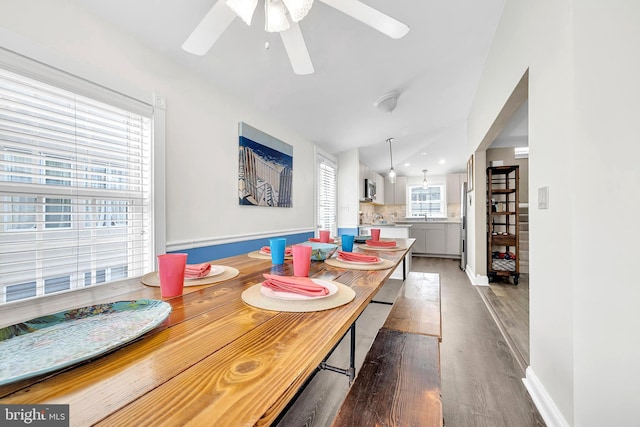 dining space featuring ceiling fan and hardwood / wood-style flooring