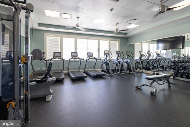 gym with a drop ceiling, visible vents, and a ceiling fan