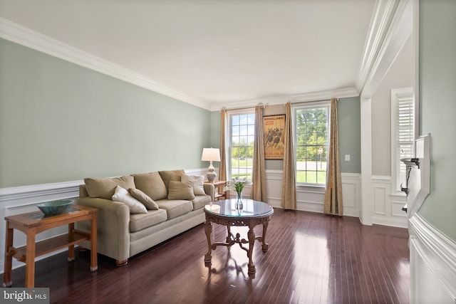 living area featuring a decorative wall, a wainscoted wall, crown molding, and dark wood-style flooring