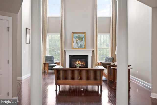 living area with dark wood finished floors, a glass covered fireplace, a healthy amount of sunlight, and a high ceiling