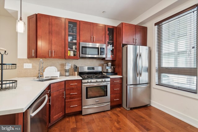 kitchen with sink, dark hardwood / wood-style floors, stainless steel appliances, and a healthy amount of sunlight