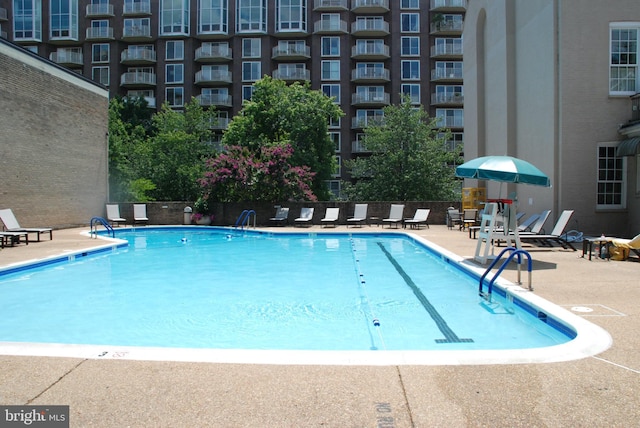 view of swimming pool with a patio area