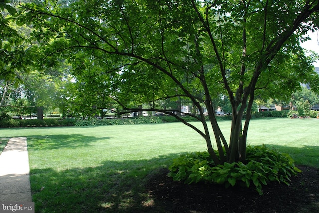 view of home's community featuring a lawn