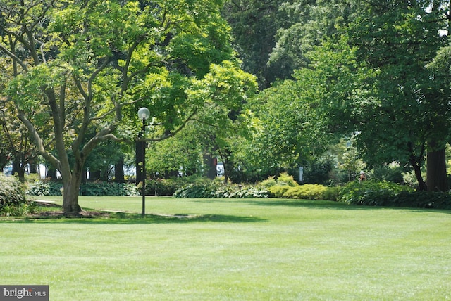 view of community featuring a lawn