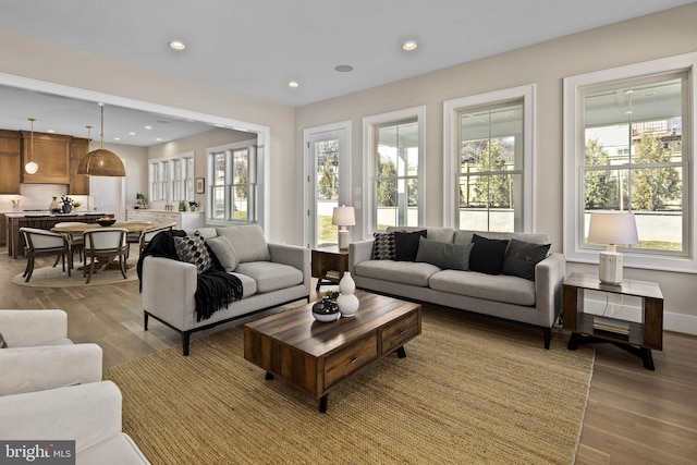 living room featuring a healthy amount of sunlight and light wood-type flooring