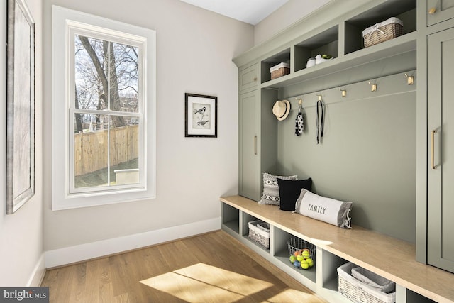 mudroom with light wood-type flooring and plenty of natural light