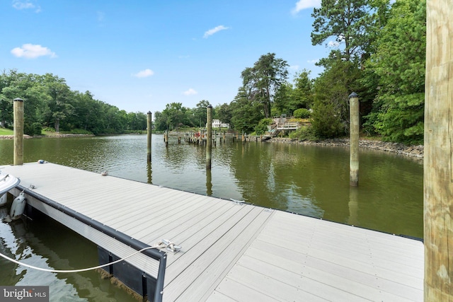 dock area with a water view