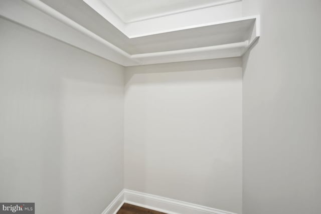 spacious closet featuring wood-type flooring